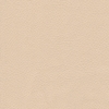 Кожзам Sontex beige.png ()